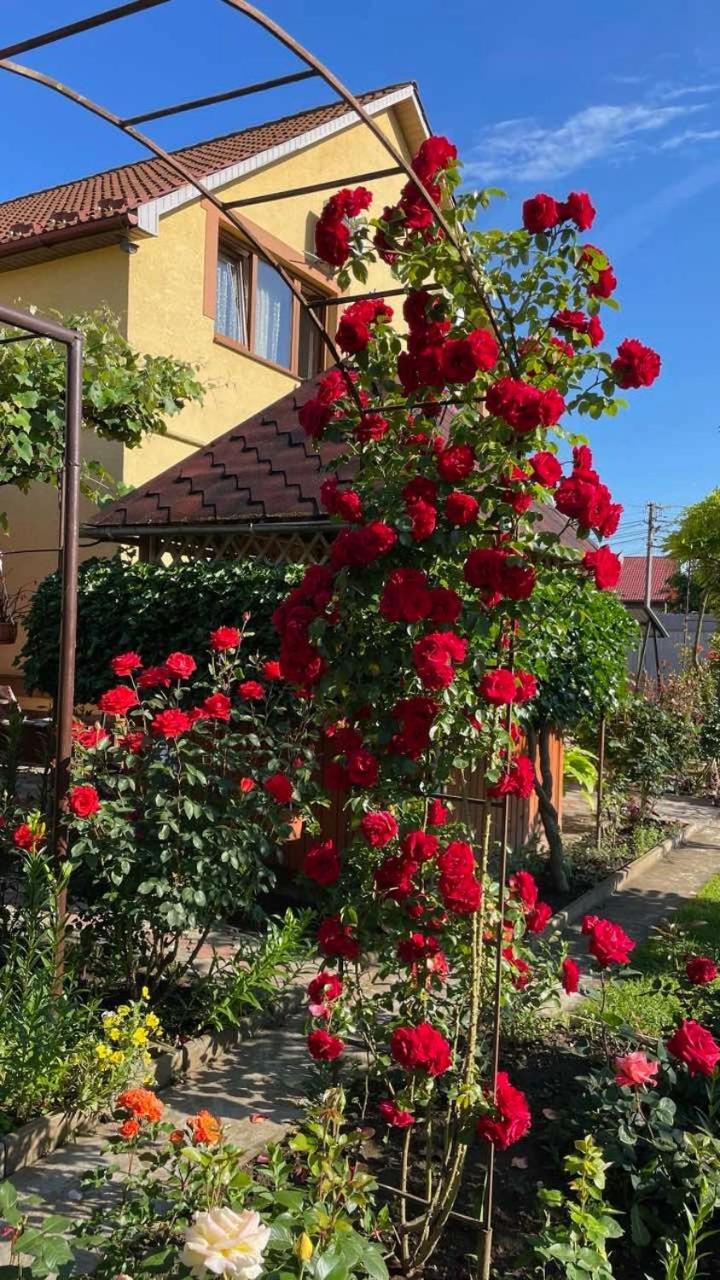 Квітковий Двір Golubinoye Buitenkant foto