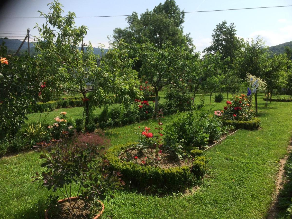 Квітковий Двір Golubinoye Buitenkant foto