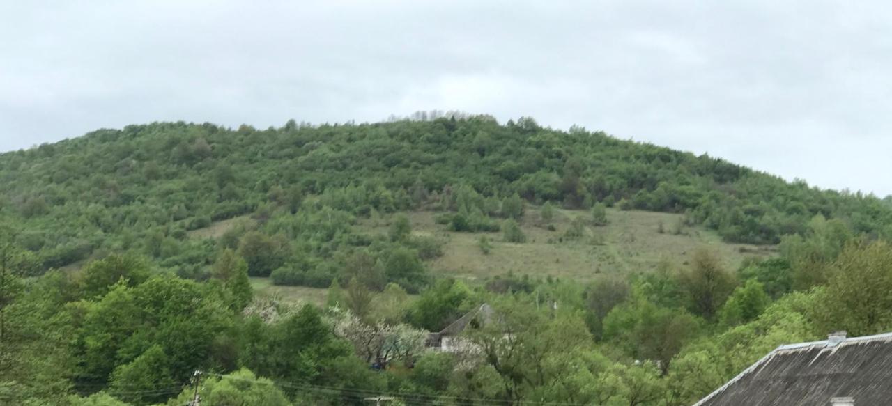 Квітковий Двір Golubinoye Buitenkant foto